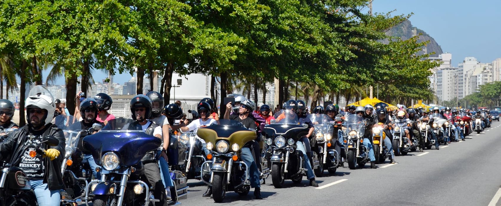 Tudo registrado em nossos álbuns.